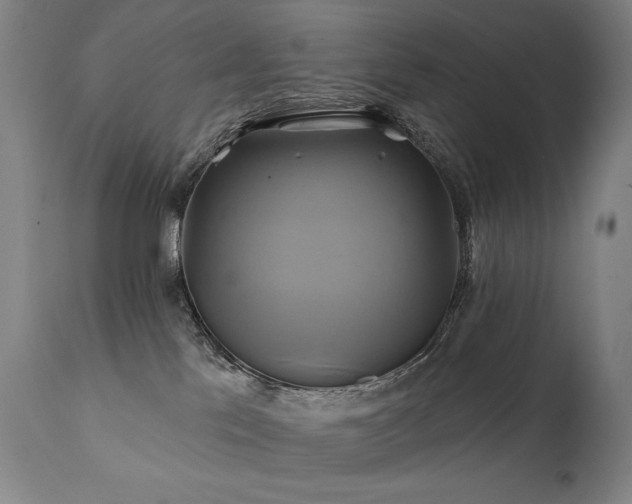 X0000111820041200907231329