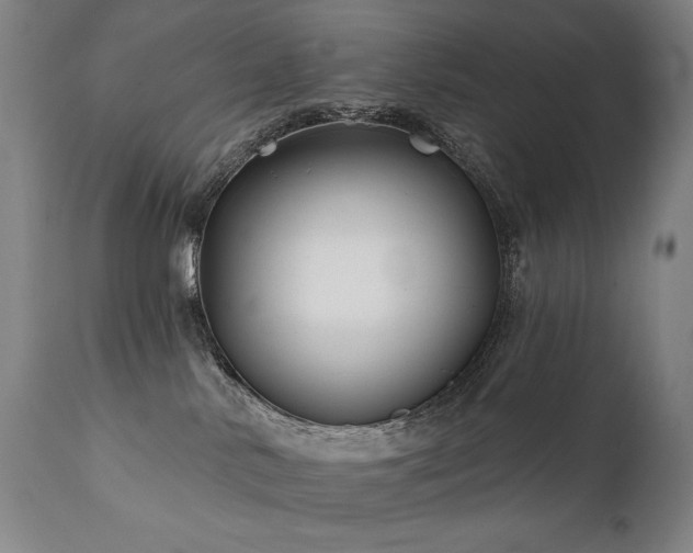 X0000111820042200907231329