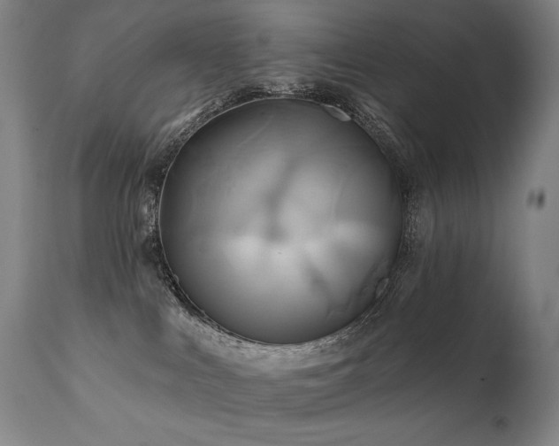 X0000111820043200907231329