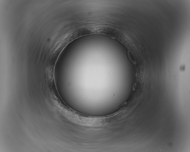 X0000111820044200907231329