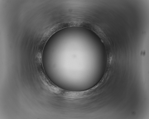 X0000111820045200907231329