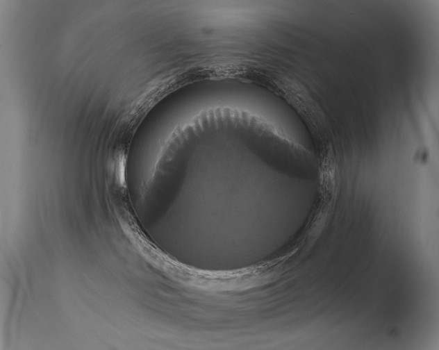 X0000111820046200907231329
