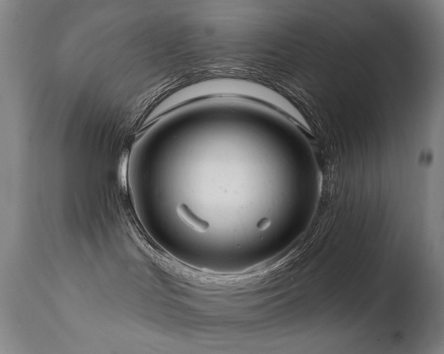 X0000111820047200907231329