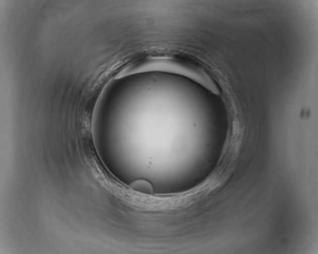 X0000111820048200907231329