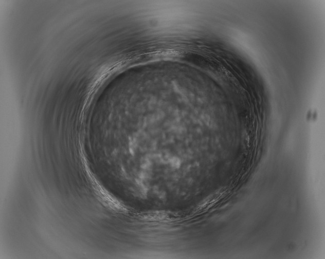 X0000111820049200907231328