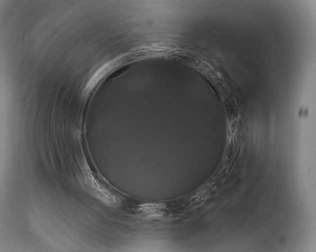 X0000111820051200907231328