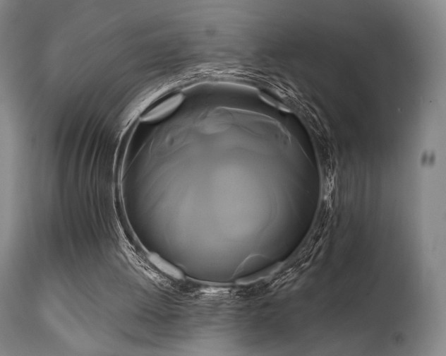 X0000111820052200907231328