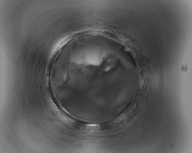 X0000111820053200907231328