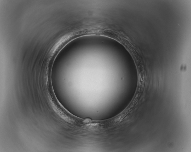 X0000111820054200907231328