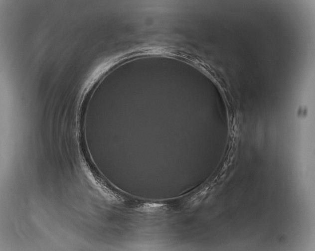 X0000111820055200907231328