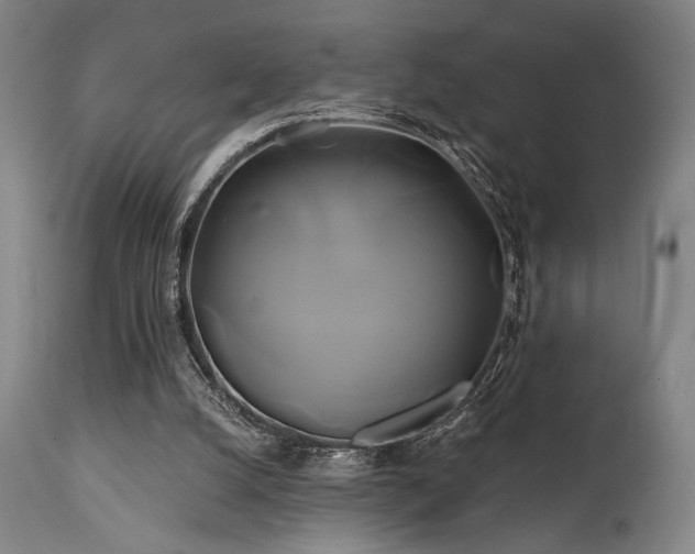 X0000111820056200907231328