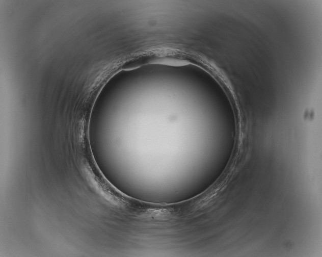 X0000111820057200907231328