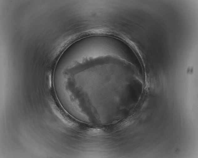 X0000111820061200907231328