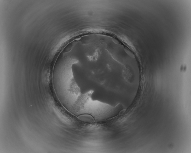 X0000111820063200907231328