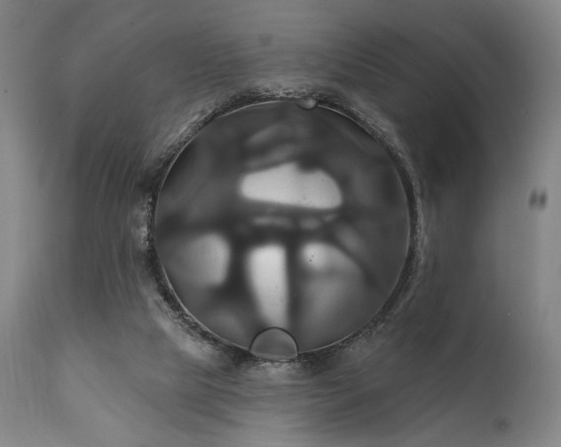 X0000111820065200907231328