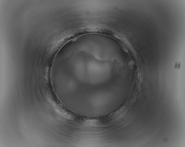 X0000111820066200907231328