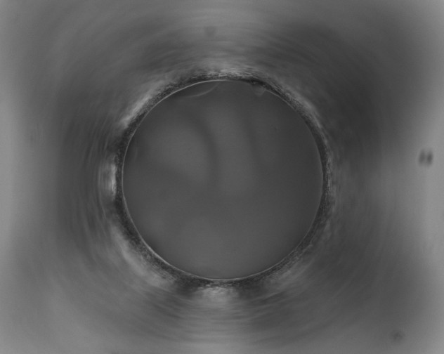 X0000111820067200907231328