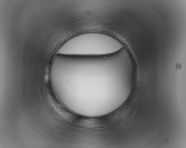 X0000111820069200907231328