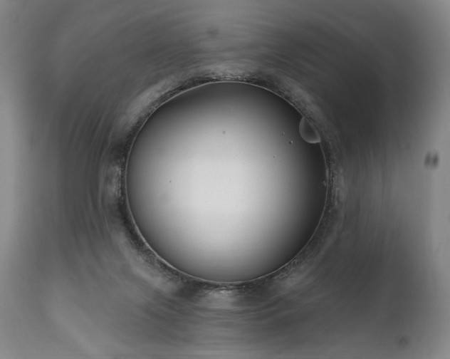 X0000111820071200907231328