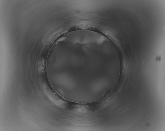 X0000111820073200907231328