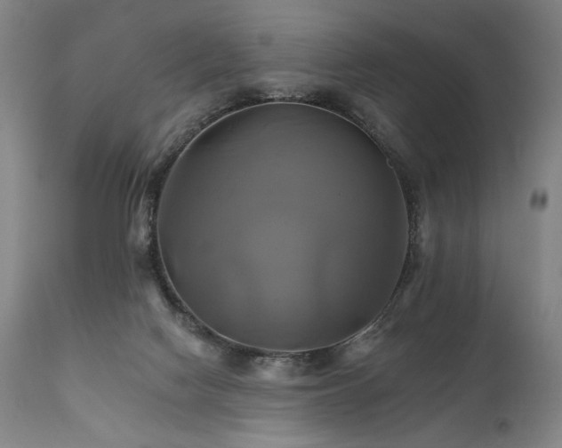X0000111820074200907231328