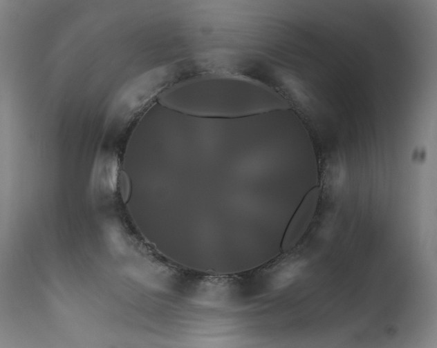 X0000111820076200907231328