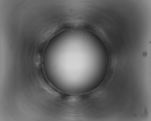 X0000111820077200907231328