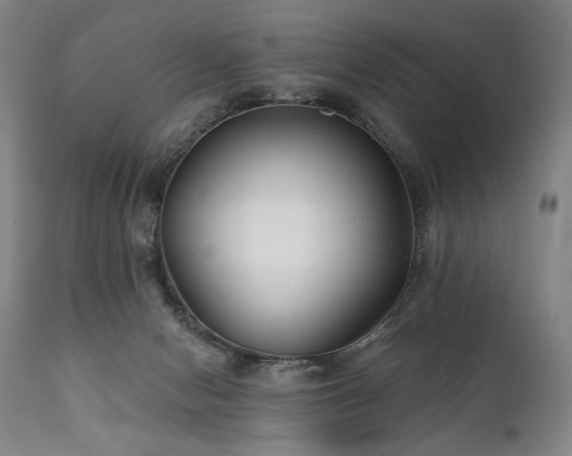 X0000111820078200907231328