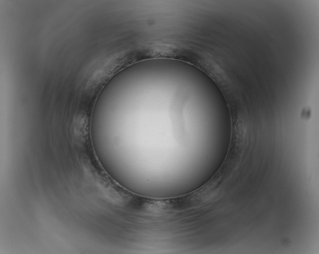 X0000111820079200907231328