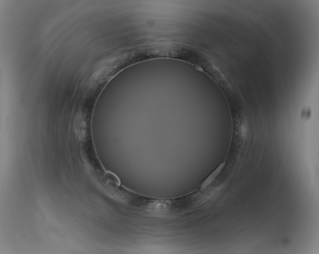X0000111820080200907231328