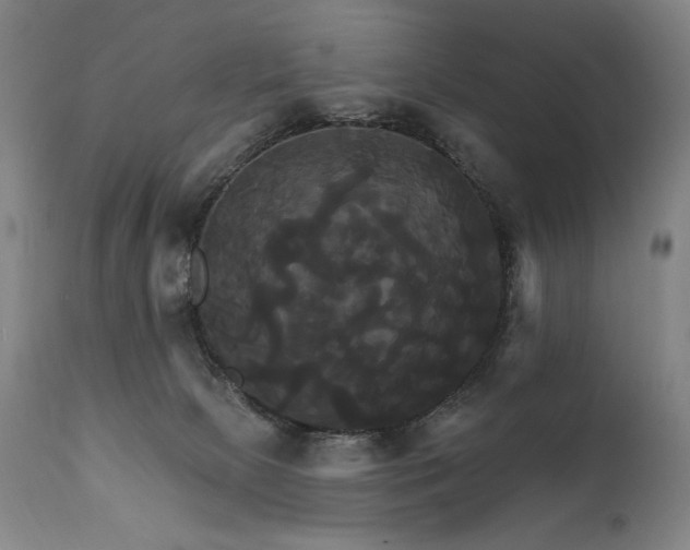 X0000111820081200907231328