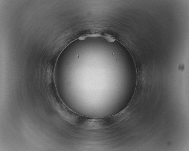 X0000111820082200907231328