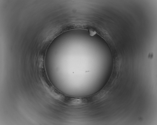 X0000111820083200907231328