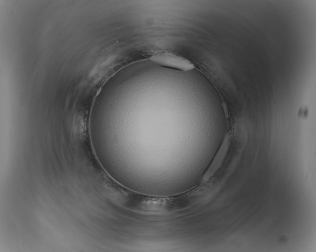 X0000111820084200907231328