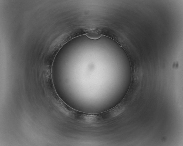 X0000111820085200907231328