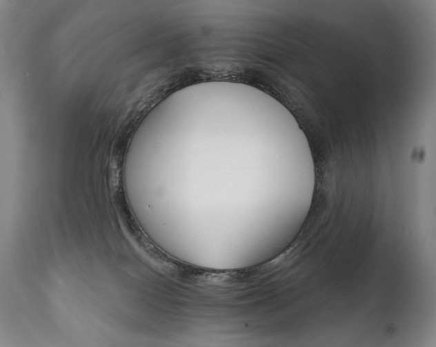 X0000111820086200907231328