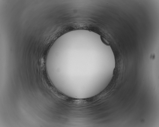 X0000111820087200907231328