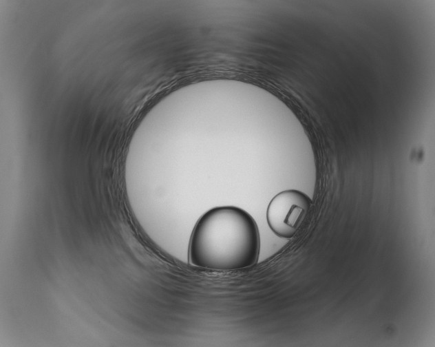 X0000111820088200907231328