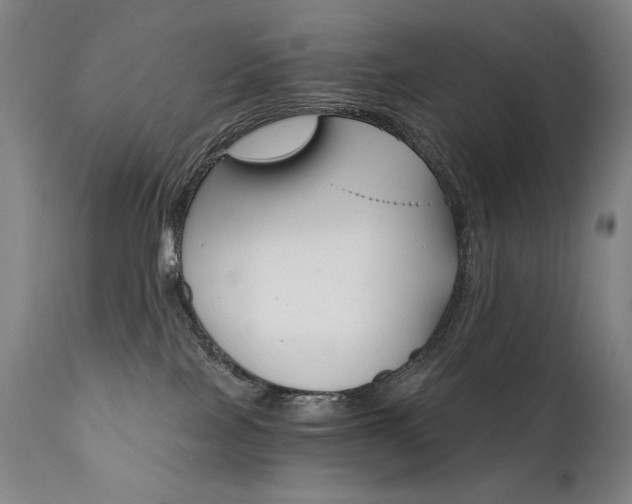 X0000111820089200907231328