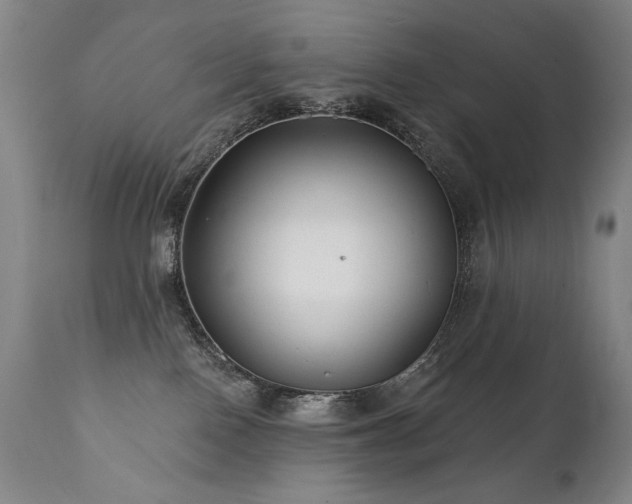 X0000111820090200907231328