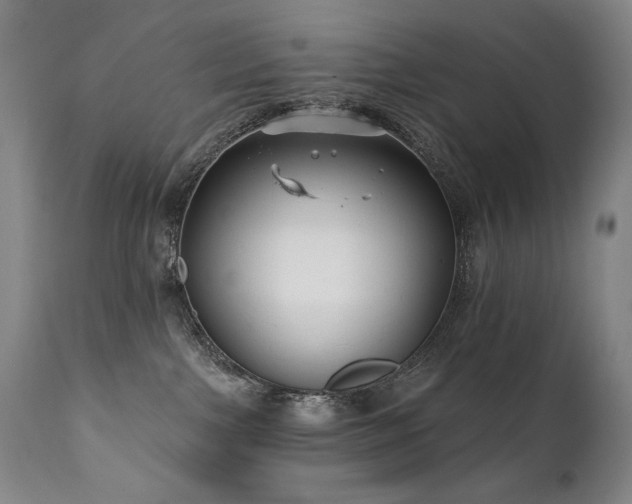 X0000111820091200907231328