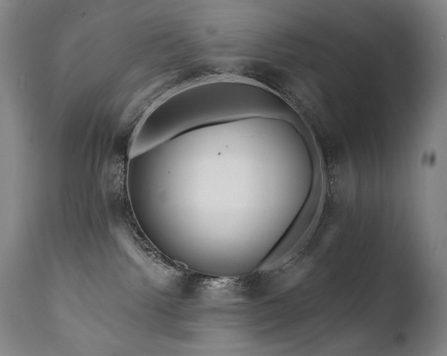 X0000111820092200907231329