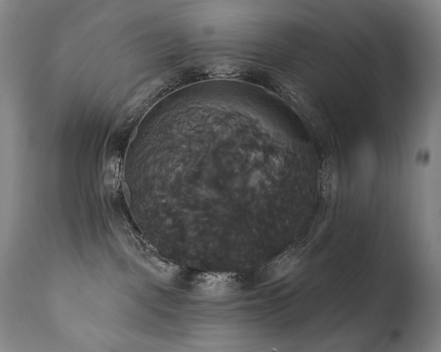 X0000111820093200907231329