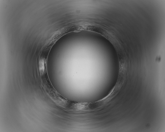 X0000111820094200907231329
