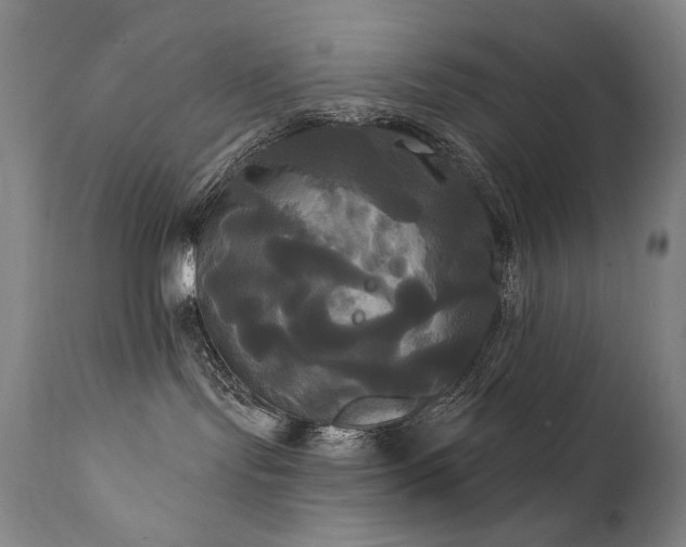 X0000111820095200907231329