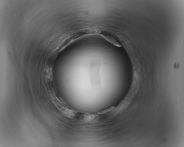X0000111820096200907231329