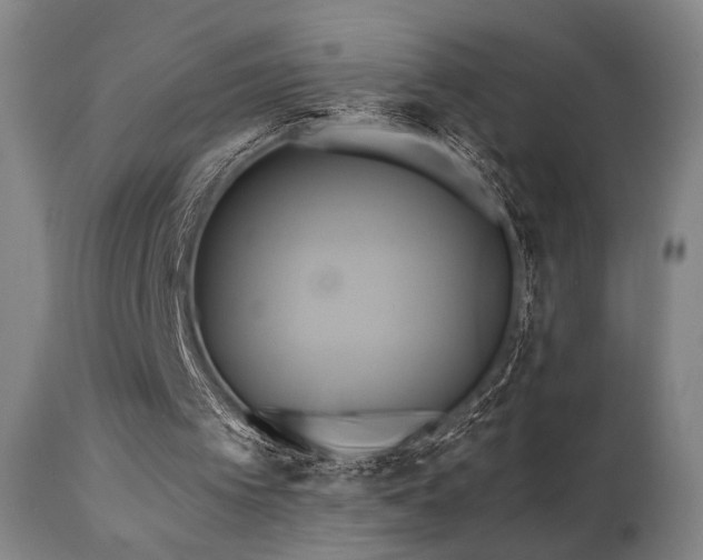 X0000111820097200907231328