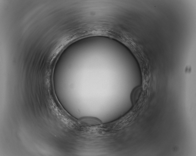 X0000111820098200907231328