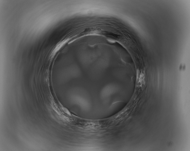 X0000111820099200907231328
