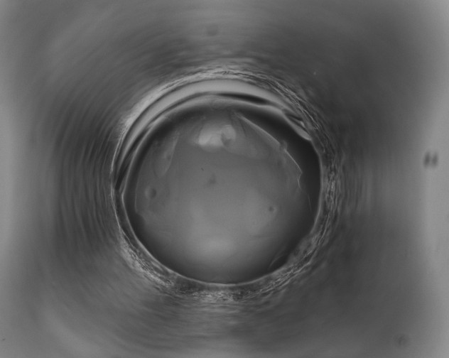 X0000111820100200907231328